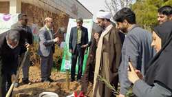 کاشت ۲۵ نهال پلاک گذاری شده به نام جنین های نجات یافته از سقط در بیمارستان امیرالمومنین(ع) سمنان